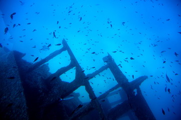 Diving