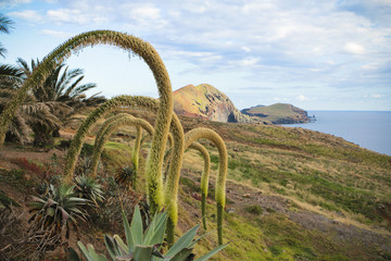 Madera © marcinbawiec