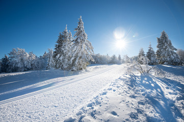 Paysage hivernal