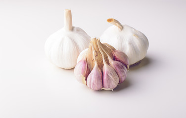 Garlic bulb