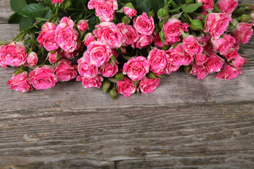 Bouquet of pink roses