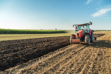 Fototapeta premium Farmer plowing stubble field with red tractor