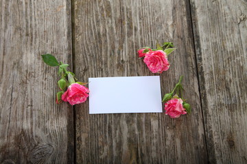 Pink roses and greeting card