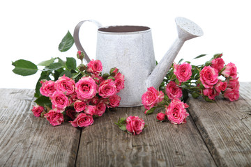 Bouquet of roses in a watering can