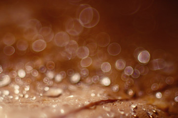 beige abstract texture bokeh blurred background