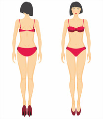 Vector illustration of woman's figure. Dummy.