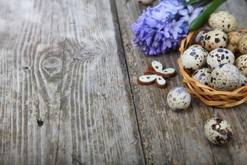 Fototapeta na wymiar Easter composition with quail eggs and hyacinth