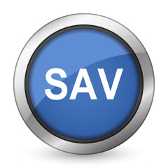 Fototapeta premium sav icon