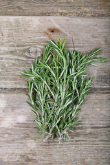 Rosemary