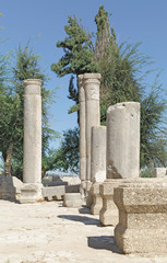 Fototapeta premium the ruins of the ancient synagogue
