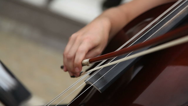 Musician playing violoncello