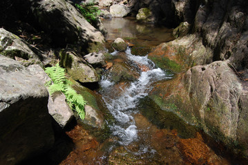 I canyon delle cascate