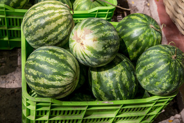 watermelon group from a marketplace in a plastic box