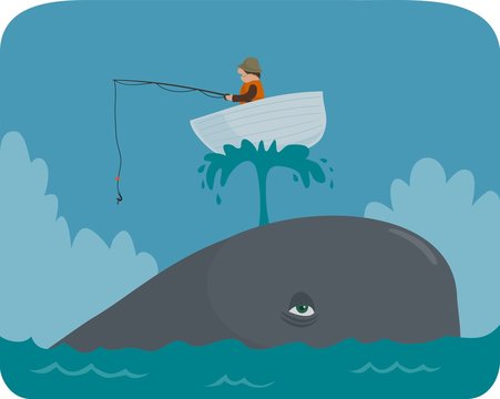 boat on a whale