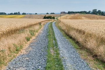 Fototapeta na wymiar Road through hilly landscape, Normandy, France