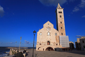Fototapeta premium cattedrale di San Nicola Pellegrino