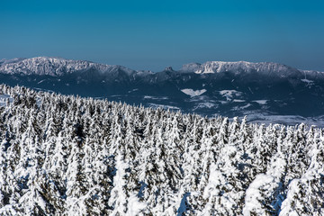 Snowy landscape in east Carpathians mountains, Harghita region.