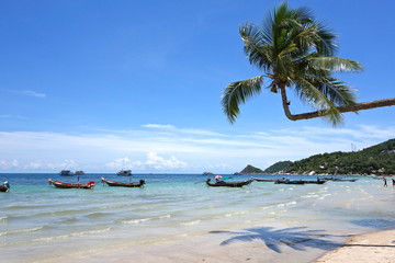 Traumstrand