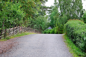 Green summer gravel road