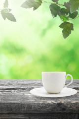 Cup of tea on nature