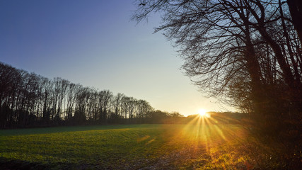 Sonnenuntergang hinter Wiese