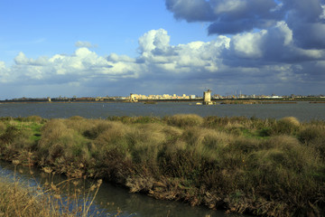 the Saline