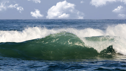 Seashore