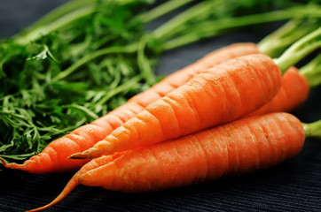 carrot