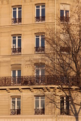 Naklejka premium Aligned windows on typical parisian building