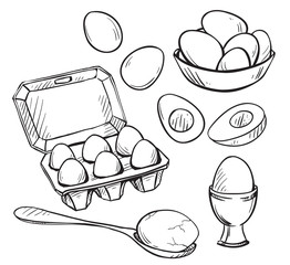 Set of eggs drawings. Hand drawn. Vector illustration. - 78076864