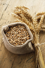 Wheat grain © airborne77