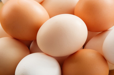 Eggs