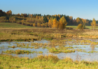 landscape with marsh