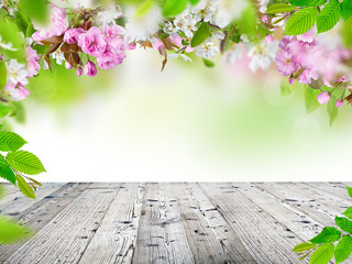 Naklejka na ściany i meble Spring blossoms background