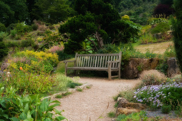 Wooden bench in a beautiful park garden.