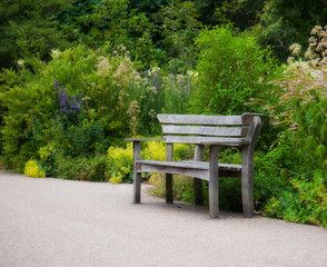 Wooden bench in a beautiful park garden.