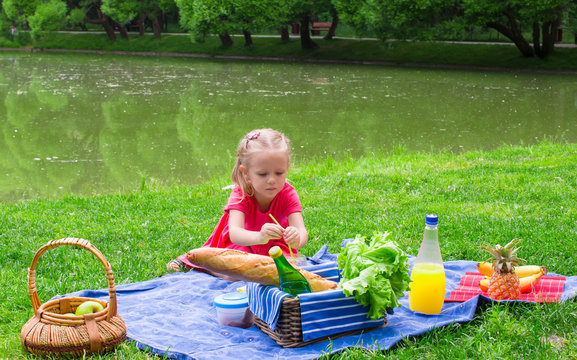 Adorable little girl have fun on picnic