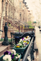 New York City Spring