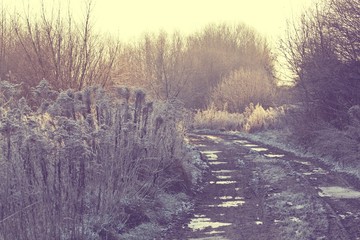 Frozen field in the morning-awakening of the day