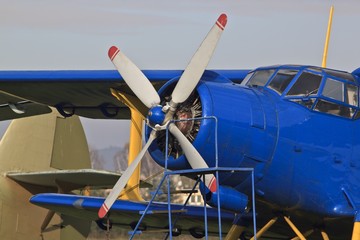 old plane detail