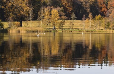 lake in autumn colors