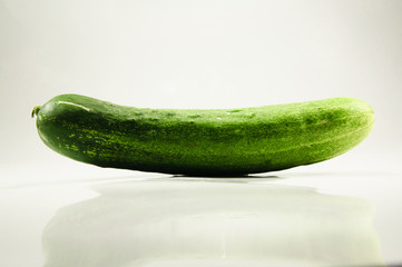 Cucumber