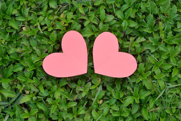 pink heart and green grass valentines day background.