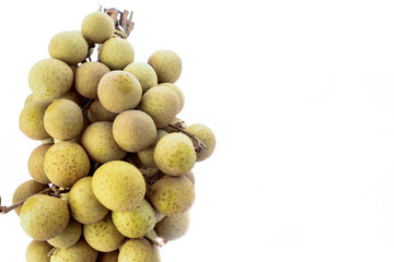 Longan on white background