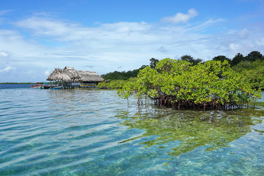 Islet of mangrove tree with tropical restaurant