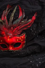 Red venetian carnival mask with feather over black