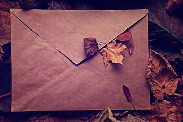 paper letter fallen leaves concept