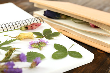 Dry up plants on notebook on table close up