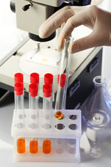 Assistant hand in gloves making analysis in laboratory with © Africa Studio