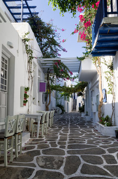 Fototapeta Fototapeta Ulica na wyspie Paros, Cyklady, Grecja wysoka